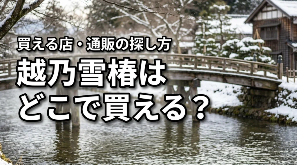 新潟の地酒・越乃雪椿はどこで売っている？買える店・通販・購入前の確認ポイント