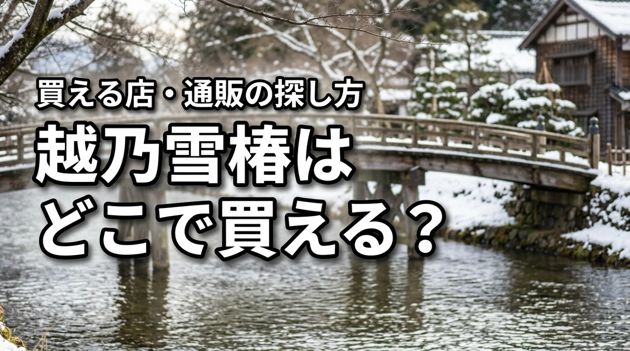 新潟の地酒・越乃雪椿はどこで売っている？買える店・通販・購入前の確認ポイント